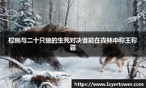 平博官网